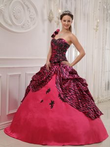 Classical Hot Pink One Shoulder Zebra Quinceanera Dress with Appliques for Less