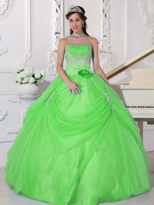 Spring Green Strapless Appliqued Dresses for Quince Made in Taffeta and Organza