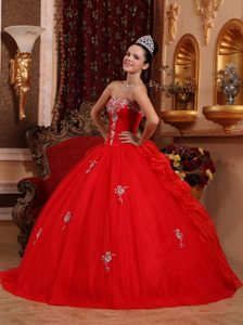 Red Sweetheart Organza Appliqued Quinceanera Dress with Beading and Pick Ups