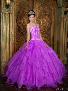 Gorgeous Strapless Organza Quinceanera Dress with Appliques in Purple