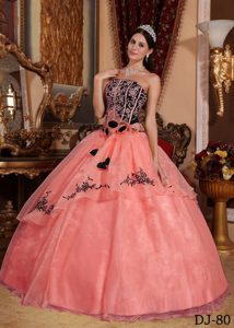 Watermelon Embroidery Quinceanera Gown Dress in Organza