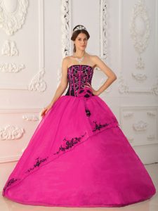 New Hot Pink Strapless Appliqued Sweet 16 Dresses in Satin and Organza