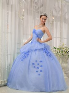 Light Blue Sweetheart Organza Quinceanera Gown Dress with Appliques