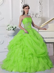 Spring Green Organza Sweet Sixteen Quinceanera Dresses with Beading
