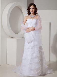 Fashionable Column Sweetheart Organza Garden Wedding Dress with Appliques