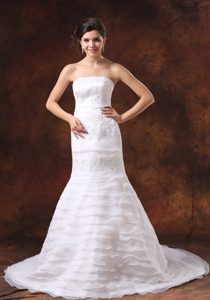 Embroidery Decorated Organza Wedding Dresses with Ruffled Layers