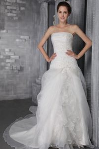 Classical Strapless Chapel Train Organza Wedding Dress on Wholesale Price