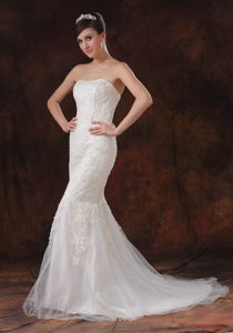 Special Mermaid Tulle Bridal Dresses for Church Wedding with Sweep Train