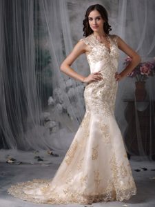 Luxurious Mermaid V-neck Organza Embroidered Wedding Dress