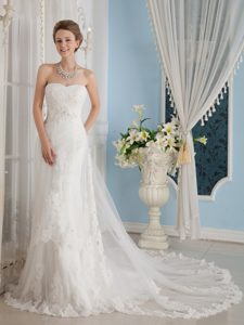 Perfect Princess Chapel Train Tulle Wedding Dresses with Lace-up Back