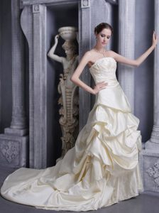 Charming Taffeta Wedding Reception Dresses in Champagne with Appliques