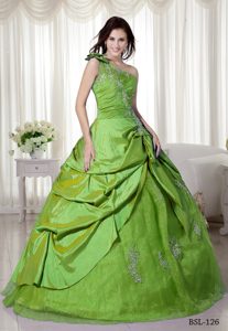 One Shoulder Sassy Quince Dresses in Taffeta and Organza with Appliques