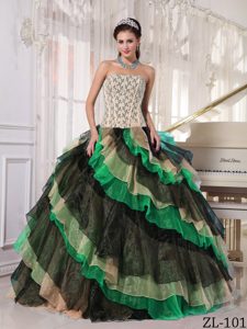 Simple Multi-color Quinceanera Dress in Organza with Appliques