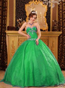 Green Pretty Sweetheart Dress for Quinceanera to Long in Organza
