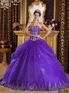 Perfect Purple Sweet Sixteen Quinceanera Dress with Appliques