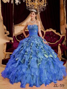 Beautiful Blue Sweet Sixteen Dresses in Leopard and Organza