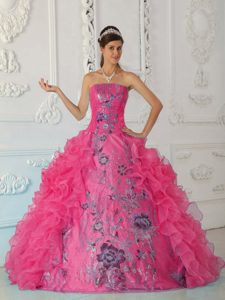 Tasty Strapless Embroidery Quinceanera Gown to Long in Hot Pink