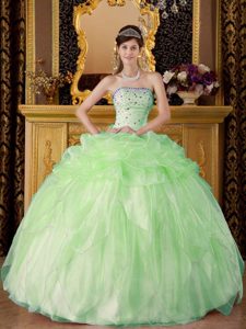 Apple Green Tony Strapless Organza Beading Quinceanera Dresses Gowns