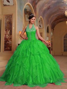 Vintage-inspired Spring Green Sweet Sixteen Quinceanera Dress in Organza