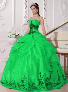 Extravagant Quinceaneras Dresses in Green and Black in Organza