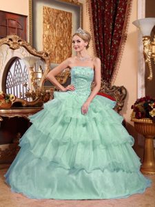 Noble Apple Green Quinceanera Dress in Organza with Beading