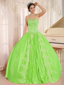 Embroidery and Beaded Sweetheart Taffeta Quince Dress in Spring Green