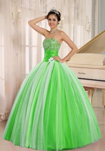 Multi-color New Arrival Strapless Tulle Quinceanera Dresses with Flowers