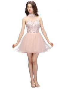 Baby Pink A-line High-neck Sleeveless Organza Mini Length Zipper Beading Evening Dress