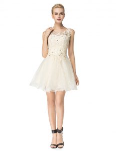 Scoop Champagne Organza Lace Up Homecoming Dress Sleeveless Mini Length Beading and Appliques