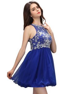 Mini Length Royal Blue Prom Dresses Scoop Sleeveless Zipper