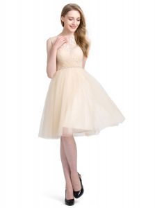 Captivating A-line Champagne Bateau Tulle Sleeveless Knee Length Clasp Handle