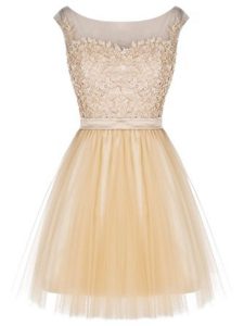 Mini Length Zipper Champagne for Prom and Party with Lace