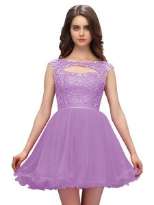 Gorgeous A-line Prom Dress Lavender Bateau Chiffon Sleeveless Mini Length Zipper