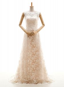 Wonderful With Train Champagne Bridal Gown Lace Sweep Train Sleeveless Lace