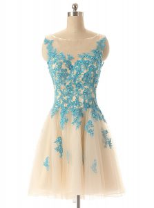 Bateau Sleeveless Dress for Prom Mini Length Beading and Appliques Champagne Tulle
