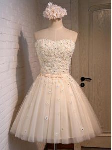 Shining Organza Sleeveless Mini Length Prom Evening Gown and Appliques