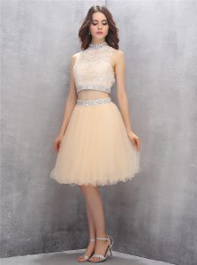 Excellent Champagne Sleeveless Knee Length Beading and Embroidery Zipper Dress for Prom