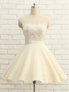High Quality Scoop Champagne Ball Gowns Lace Prom Dress Zipper Organza Cap Sleeves Knee Length
