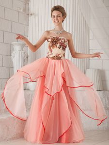 Watermelon Column Strapless Long Organza Prom Dress with Appliques