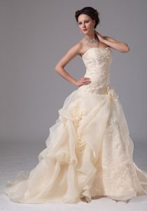 Pretty Champagne Embroidery Organza Wedding Gowns with Chapel Train