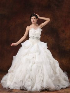 Ball Gown Fitted Organza Wedding Dress with Ruffled Layers and Feather