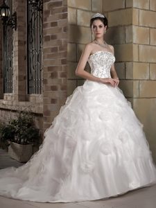 Strapless Wedding Dresses for Women in Taffeta and Organza with Appliques