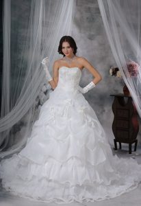 Beaded and Appliqued Wedding Dress with Handle Flowers and Pick-ups