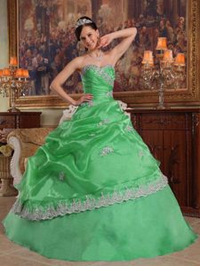Elegant Green Ball Gown Sweetheart Quinceanera Dress with Appliques in Organza