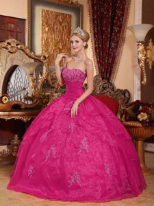 Hot Pink Ball Gown Strapless Organza Formal Quinceanera Dresses with Appliques