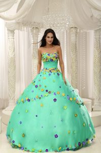 Apple Green Ball Gown Unique Gowns for Quince with Appliques in Taffeta on Sale