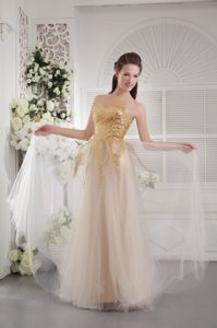 Dressy Sweetheart Champagne Zipper-up Tulle Evening Dress for Graduation