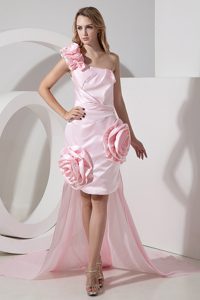 One Shoulder Prom Dress for Ladies in Baby Pink with Hand Made Flowers