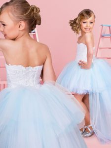 Dramatic High Low Light Blue Toddler Flower Girl Dress Tulle Sleeveless Lace