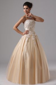 Beautiful Tulle Champagne Strapless Holiday Dress with Appliques on Promotion